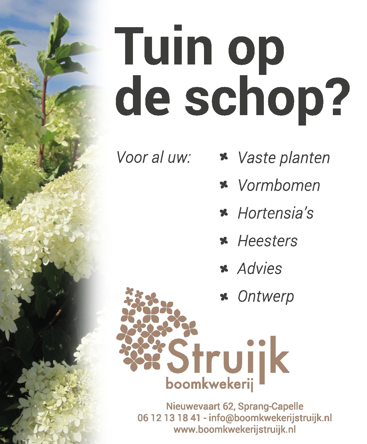 Struijk kwekerij boomkwekerij sprang-capelle nieuwevaart waalwijk heesters vaste planten vormbomen hortensia advies ontwerp beplantingsplan